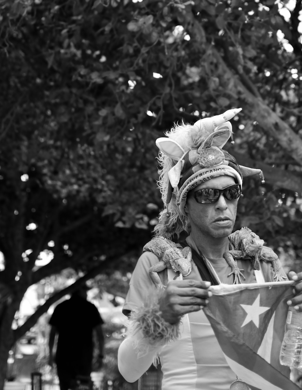 CRR_7129_02_senor_iguanas